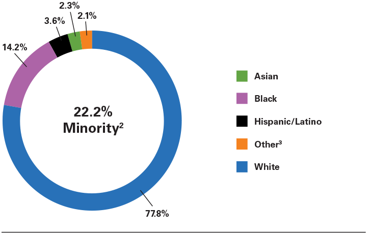 Pie chart reads 22.2% Minority, 2.3% Asian, 14.2% Black, 3.6% Hispanic or Latino, 2.1% Other, 77.8% White